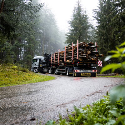 DOLL Holztransport Plattformanhänger in verregnetem Wald mit Baumstämmen beladen