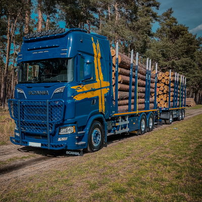 Blauer LKW mit DOLL Plattformanhänger mit großen Baumstämmen auf einer sonnigen Landstraße, der seine Ladekapazität und Effizienz unter Beweis stellt.